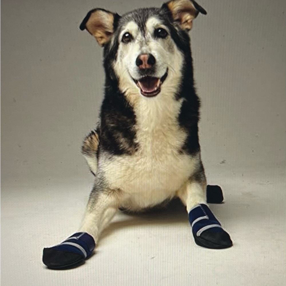 Healers Medical Dog Booties - NWT (New With Tags) - Picture 7 of 7